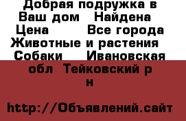 Добрая подружка,в Ваш дом!!!Найдена › Цена ­ 10 - Все города Животные и растения » Собаки   . Ивановская обл.,Тейковский р-н